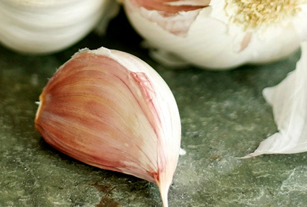 Kyolic Garlic