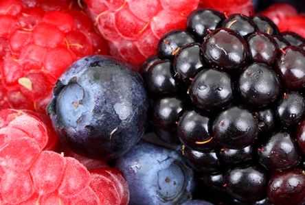 Multi-Nutrients