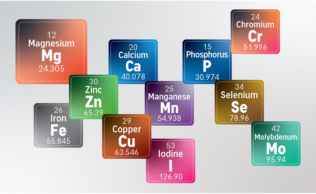 Common minerals used in nutrional supplement formulations