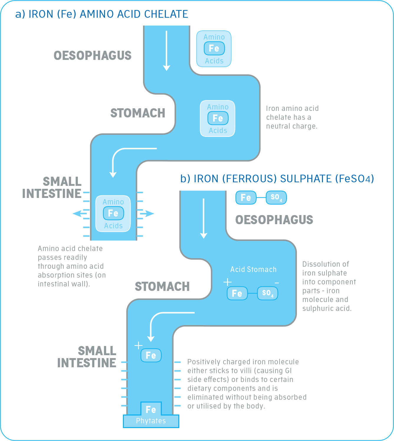 Common minerals used in nutrional supplement formulations