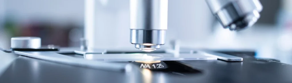 Quest's proprietary lactobacilli probiotic strains are scientifically characterised, independently verified and produced in-house to the highest