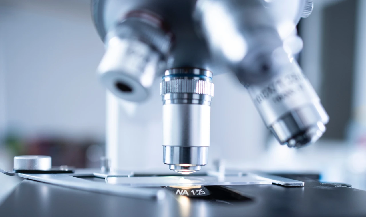 The Science Framework behind Quest’s Probiotic Performance-summary